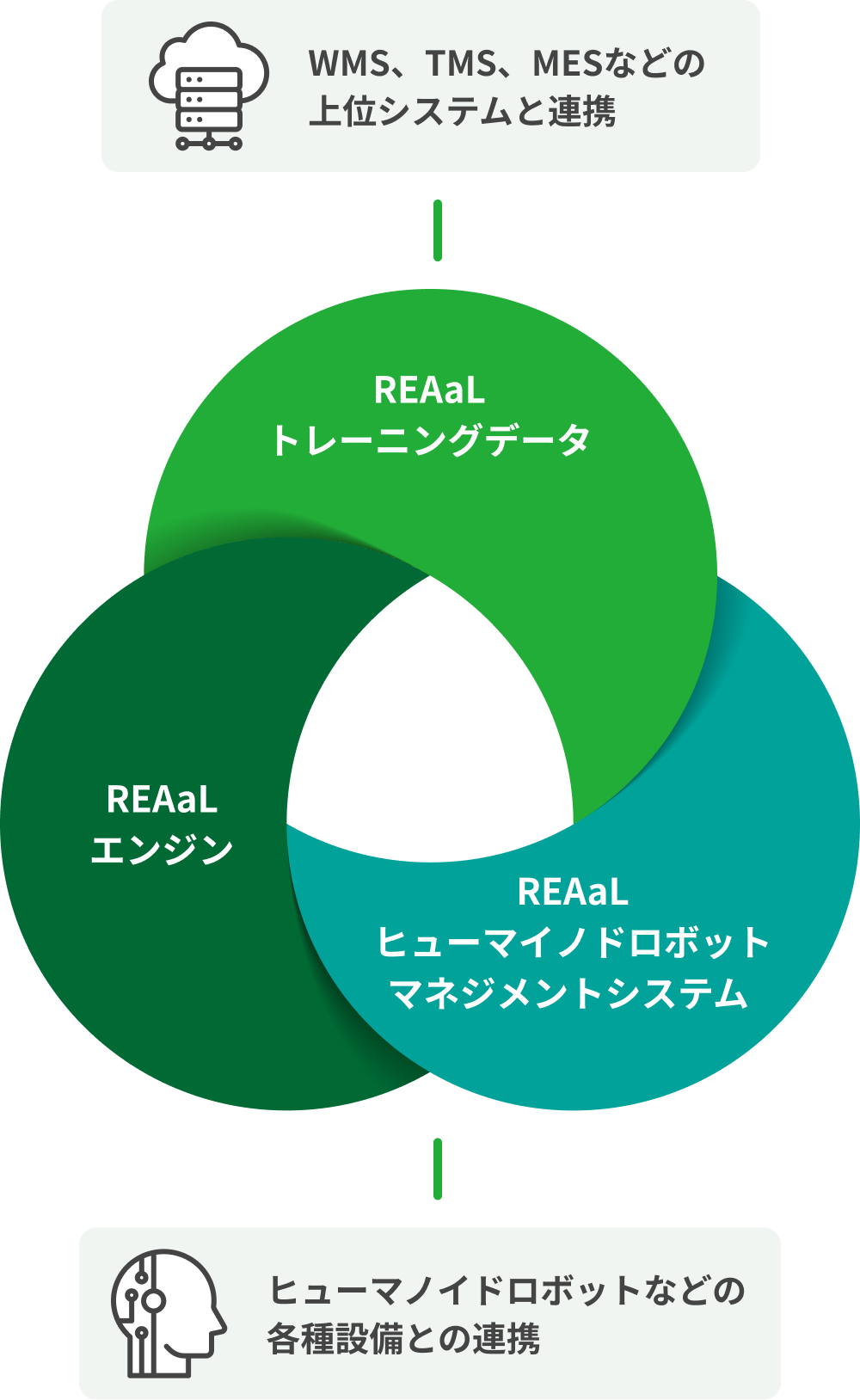 トレーニングデータ、マネジメントシステム、エンジンで構成される REAaLプラットフォーム が、ヒューマノイドロボットをはじめとする各種設備や、WMS・TMS・MESなどの上位システムと連携します。